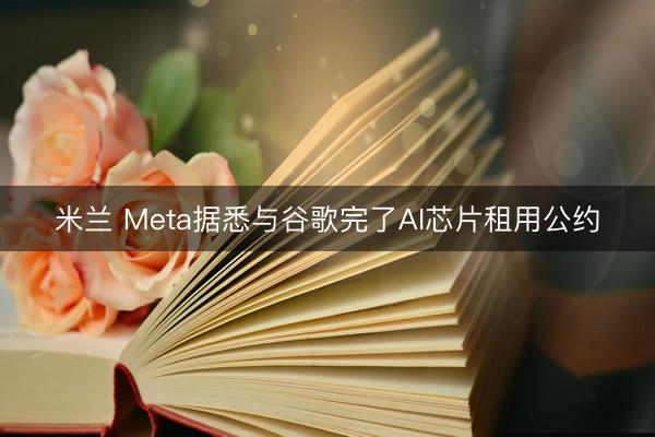 米兰 Meta据悉与谷歌完了AI芯片租用公约